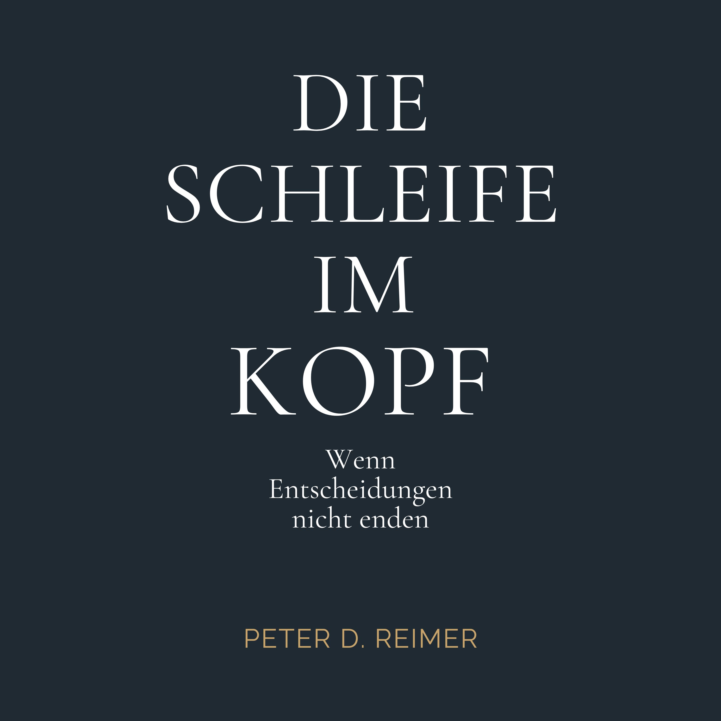 Audiocover DIE SCHLEIFE IM KOPF von Peter D. Reimer