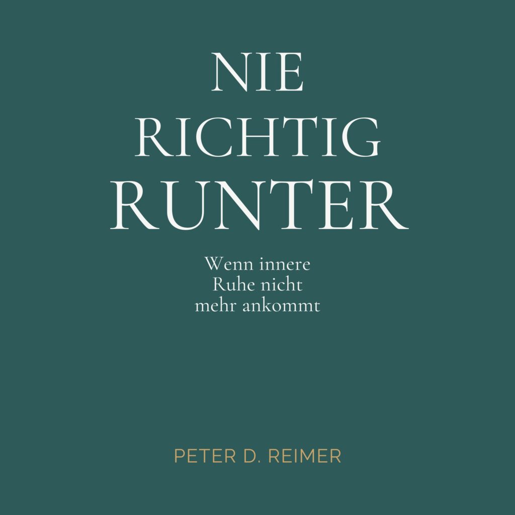 Audiocover NIE RICHTIG RUNTER von Peter D. Reimer