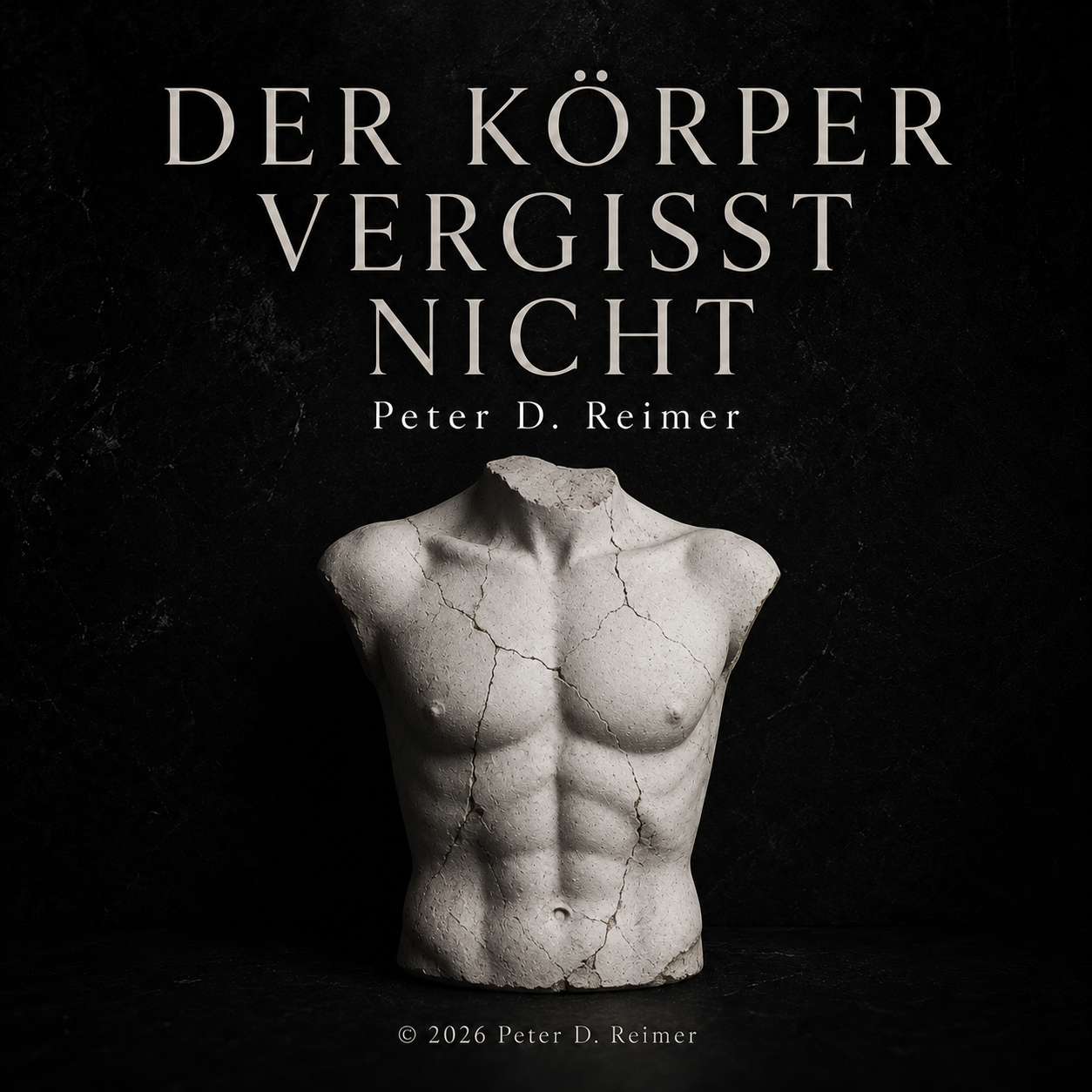 Musikcover DER KÖRPER VERGISST NICHT von Peter D. Reimer