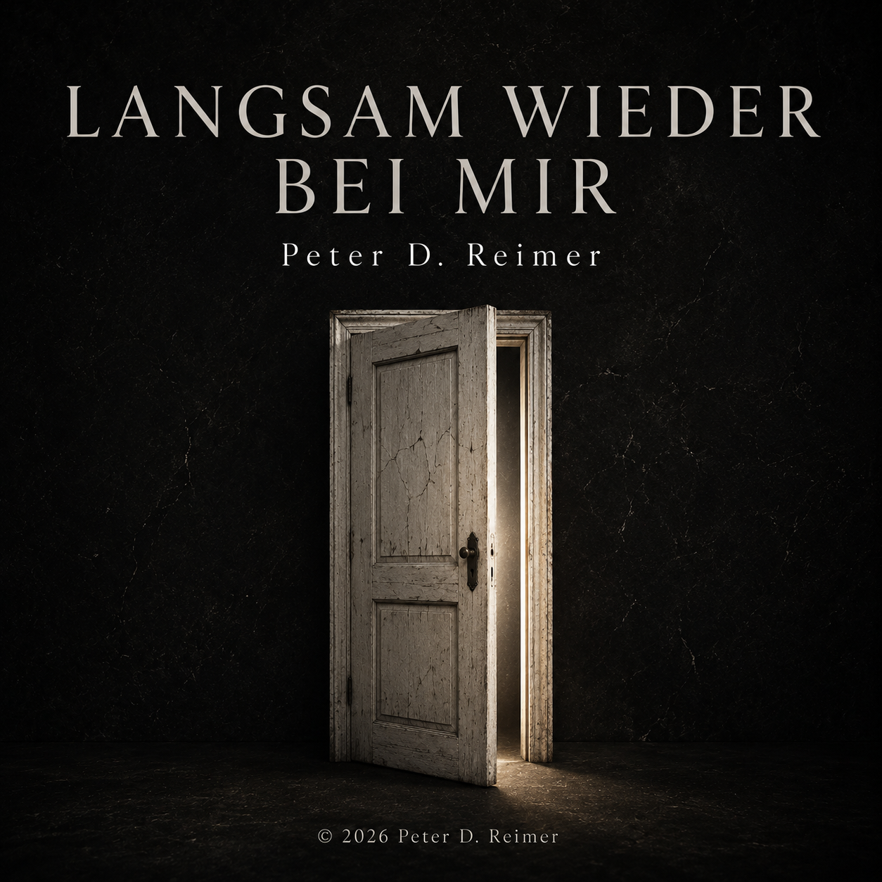 Musikcover LANGSAM WIEDER BEI MIR von Peter D. Reimer