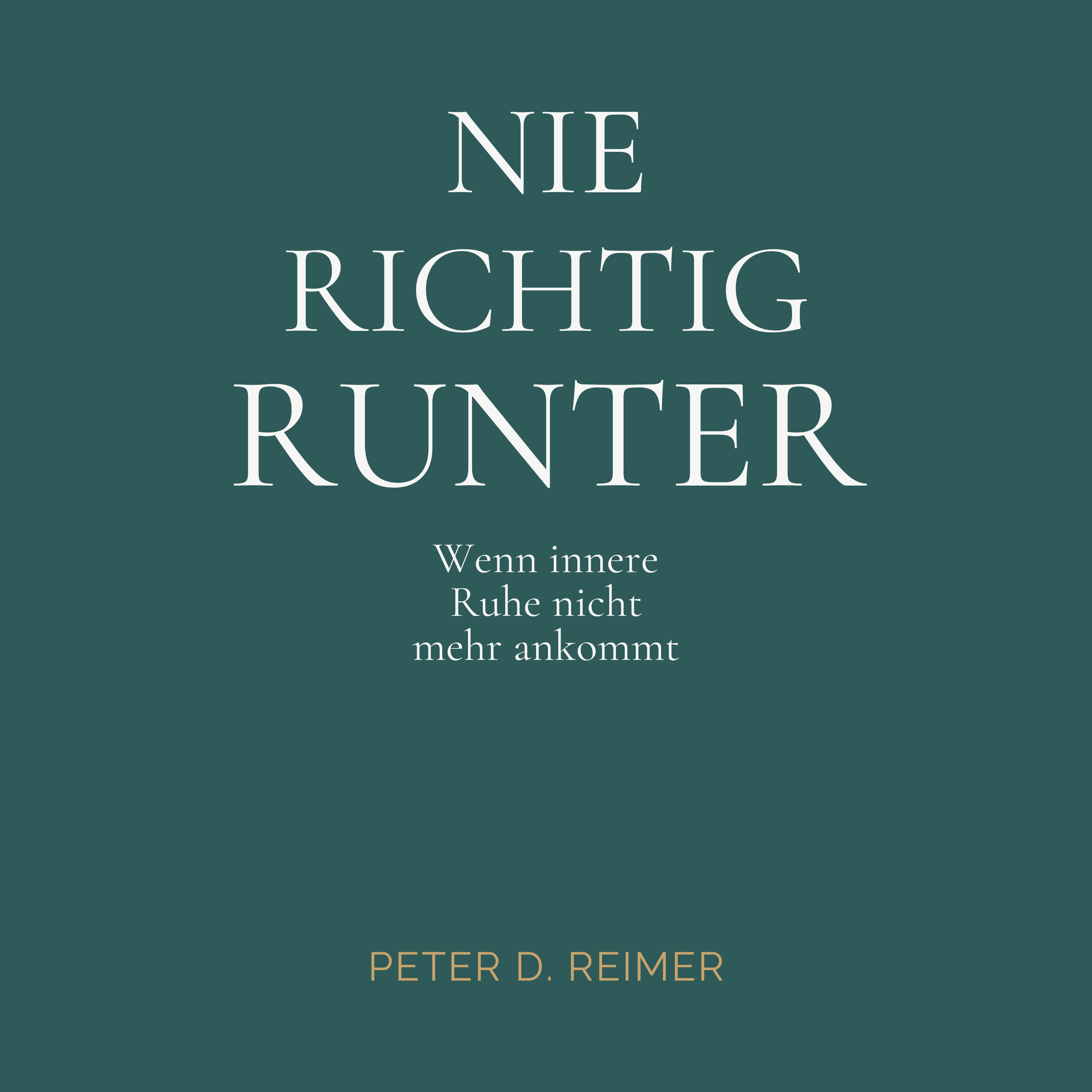 Audiocover NIE RICHTIG RUNTER von Peter D. Reimer